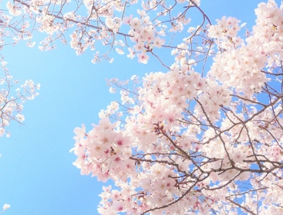 最も重視すべきは社会貢献。